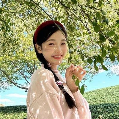 小夜莺